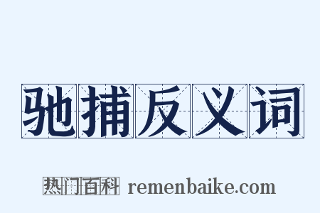 驰捕反义词是什么意思的图片